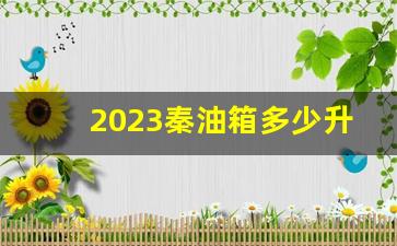 2023秦油箱多少升,秦plus dm-i 2023冠军版参数